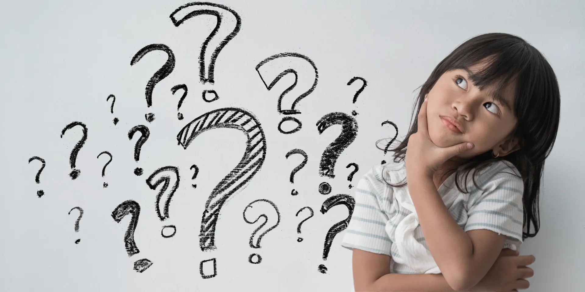 Questions IEF